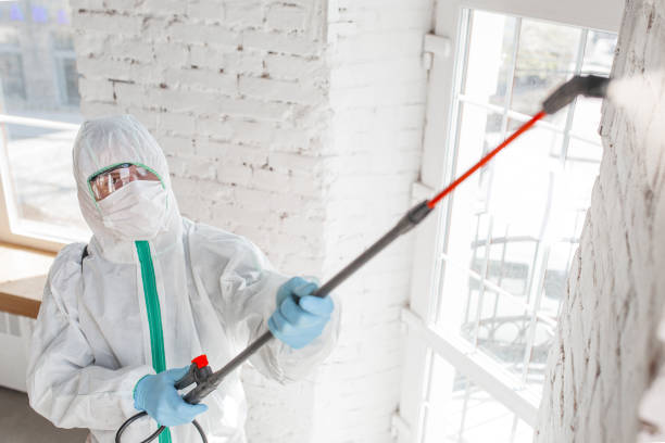 Best Mold Odor Removal Services  in Wilson, AR